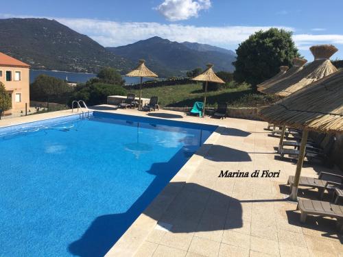 This photo about Marina di fiori shared on HyHotel.com