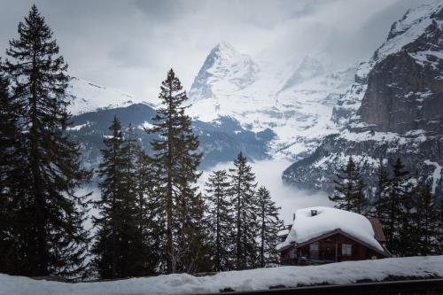 A környék, Hotel Alpenblick Murren in Mürren A környék, Hotel Alpenblick Murren in Mürren