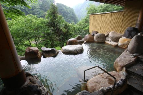 ホテルニューおおるり (Hotel New Ohruri) in 日光 ホテルニューおおるり (Hotel New Ohruri) in 日光