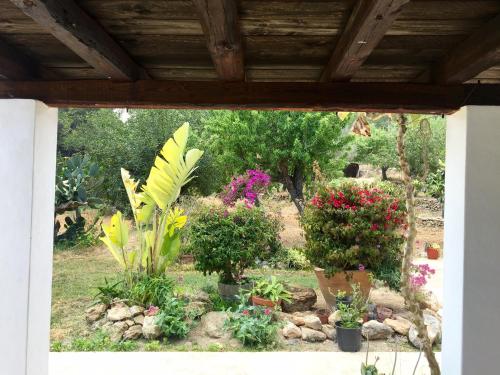 This photo about Casa Tanit shared on HyHotel.com