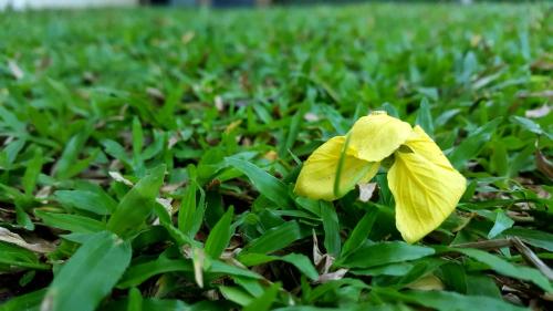 This photo about Hotel Sisilthera shared on HyHotel.com