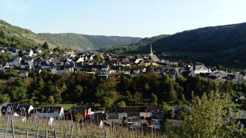 Surrounding environment, Huttenflair-Mosel Ferienwohnung in Enkirch Surrounding environment, Huttenflair-Mosel Ferienwohnung in Enkirch