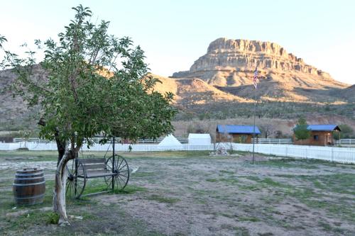 周邊環境, 大峽谷西部牧場酒店 (Grand Canyon Western Ranch) in 米德維尤 周邊環境, 大峽谷西部牧場酒店 (Grand Canyon Western Ranch) in 米德維尤