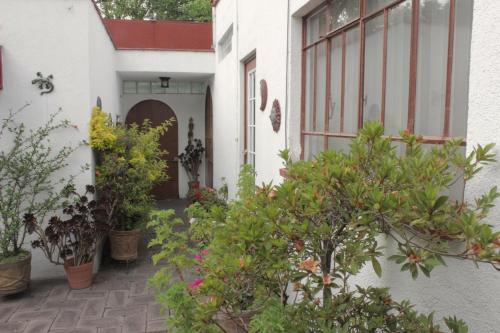 This photo about Corazoncito Coyoacan one shared on HyHotel.com