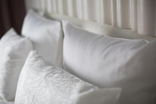 This photo about Butik Hotel 12 shared on HyHotel.com