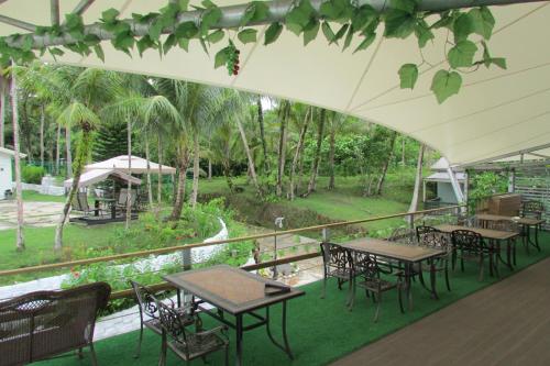 Surrounding environment, Shell Villa apartel resort in Koror Island Surrounding environment, Shell Villa apartel resort in Koror Island