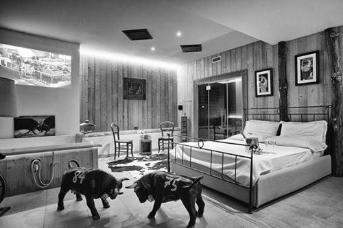 This photo about Les Plaisirs d'Antan shared on HyHotel.com