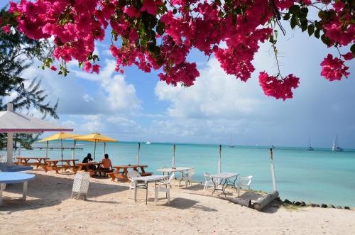 Anegada Reef Hotel in Anegada Anegada Reef Hotel in Anegada