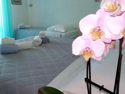 This photo about Hotel Rosalba shared on HyHotel.com