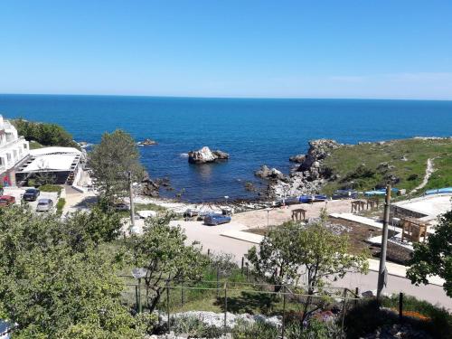 This photo about Dolphin Family Hotel shared on HyHotel.com