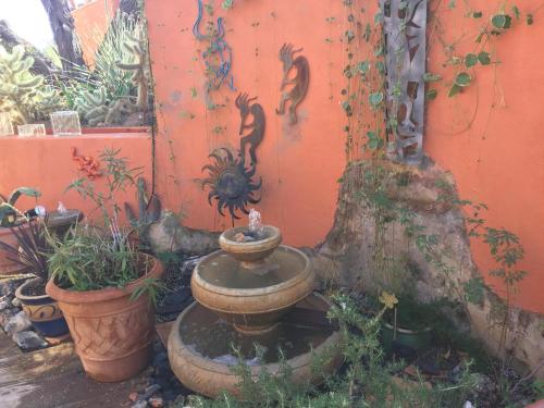 Garden, Spur Cross Inn in Cave Creek Garden, Spur Cross Inn in Cave Creek