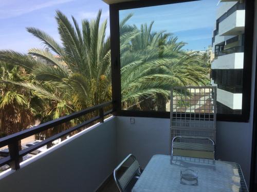 apartamentos la siesta apartamentos la siesta san agust 237 n gran canaria apartamentos la siesta apartamentos la siesta san agust 237 n gran canaria