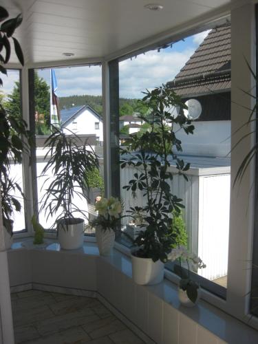 Hostal Pension Haus Schnittler