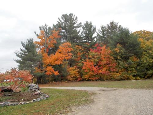 Kilátás, Bear & Butterfly Bed and Breakfast in Gravenhurst (ON) Kilátás, Bear & Butterfly Bed and Breakfast in Gravenhurst (ON)