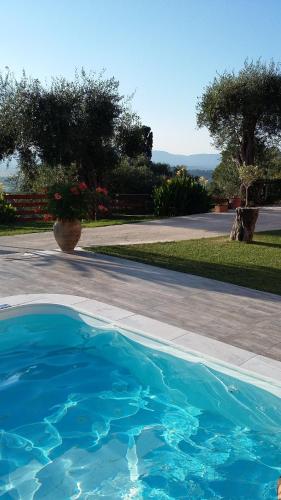 This photo about Villa Pelekas shared on HyHotel.com