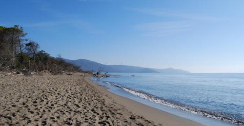 Maestrale Resort Hotel - Grosseto in Grosseto Maestrale Resort Hotel - Grosseto in Grosseto