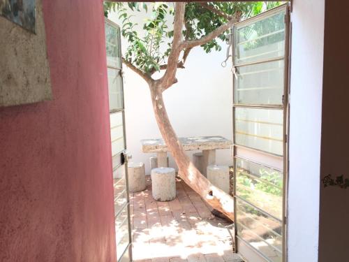 This photo about Villa Serena Centro Historico shared on HyHotel.com