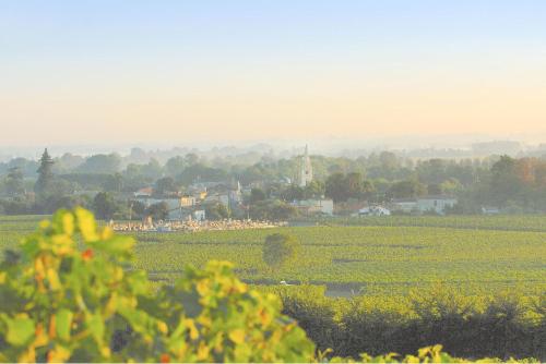 This photo about Chateau La Mothe du Barry shared on HyHotel.com