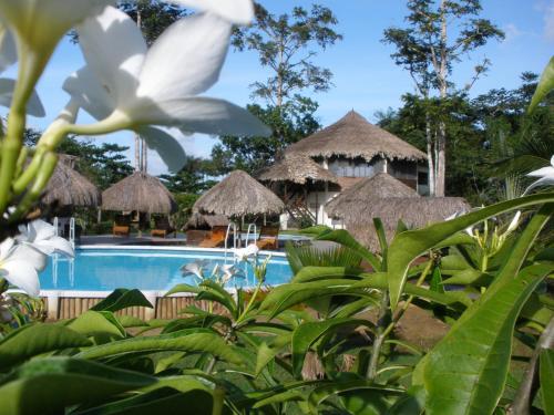 Surrounding environment, De Plantage in Tamanredjo Surrounding environment, De Plantage in Tamanredjo