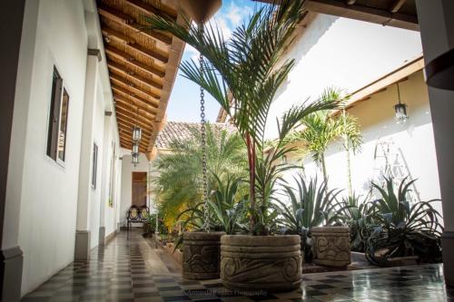 Hôtel Casa Carina