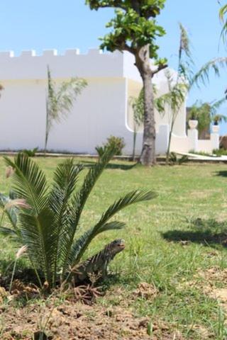 This photo about Hotel Castillo del Mar shared on HyHotel.com