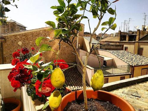 This photo about Hotel Plaza shared on HyHotel.com