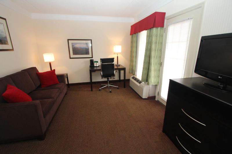 Queen Suite with Sofa Bed - Disability Access image 2
