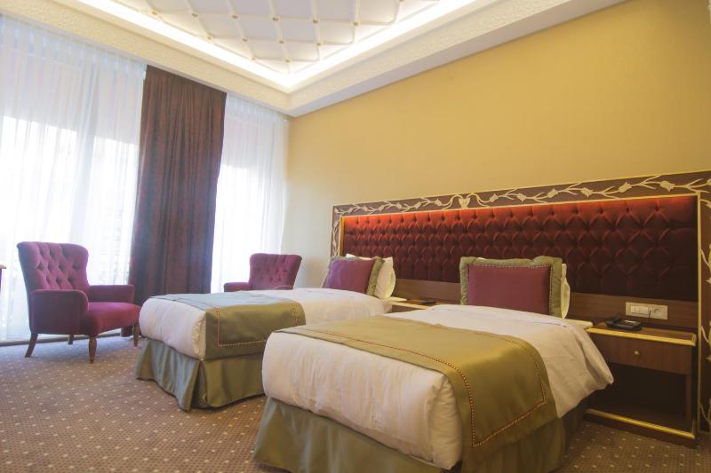 Deluxe Double or Twin Room image 4