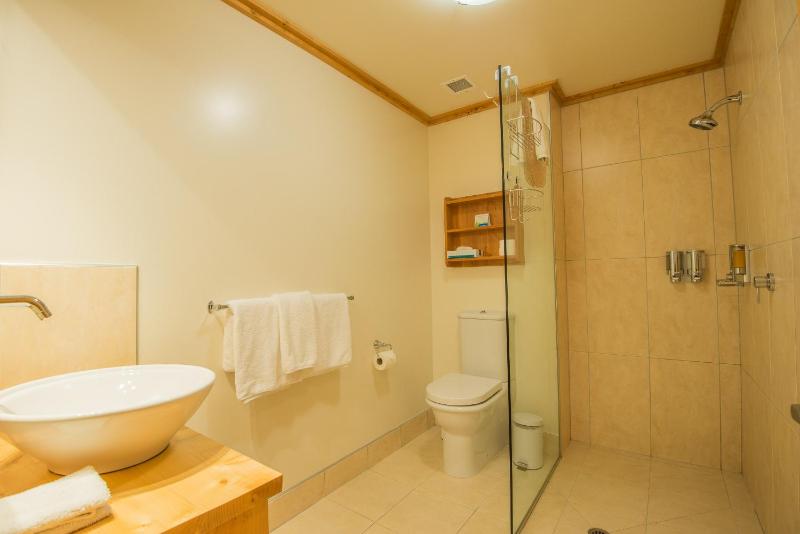 Deluxe King Room image 2