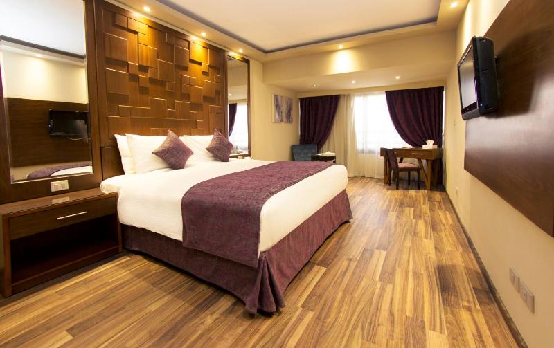 Premium One Bedroom Suite image 1