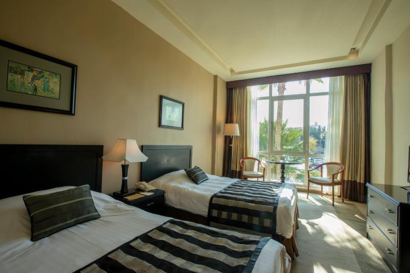 Deluxe Twin Room image 2