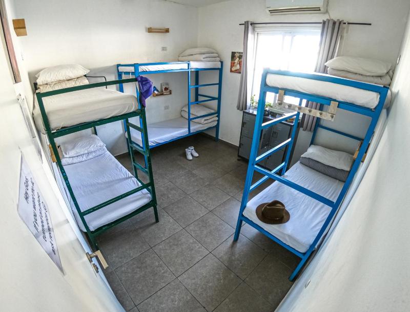 Single Bed in 8-Mixed Dormitory Room image 2