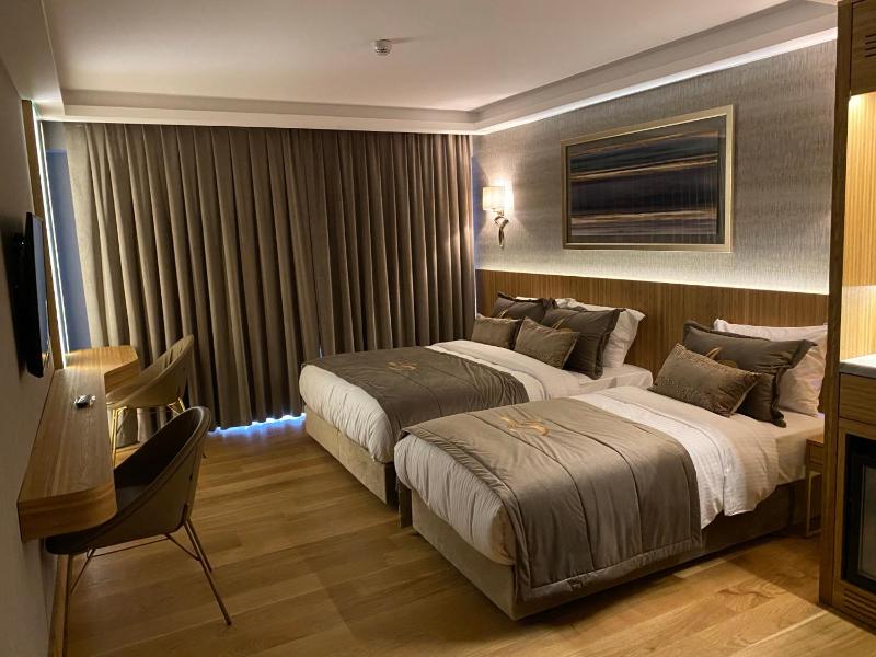 Superior Double Room image 3