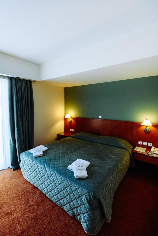 Double or Twin Room image 4