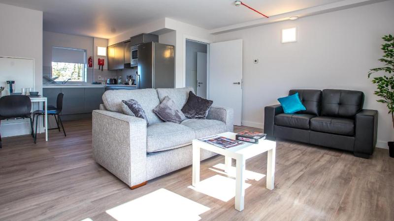 Penthouse Apartment image 3