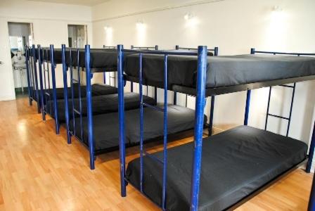 Bed in a 14-Bed Dorm image 2