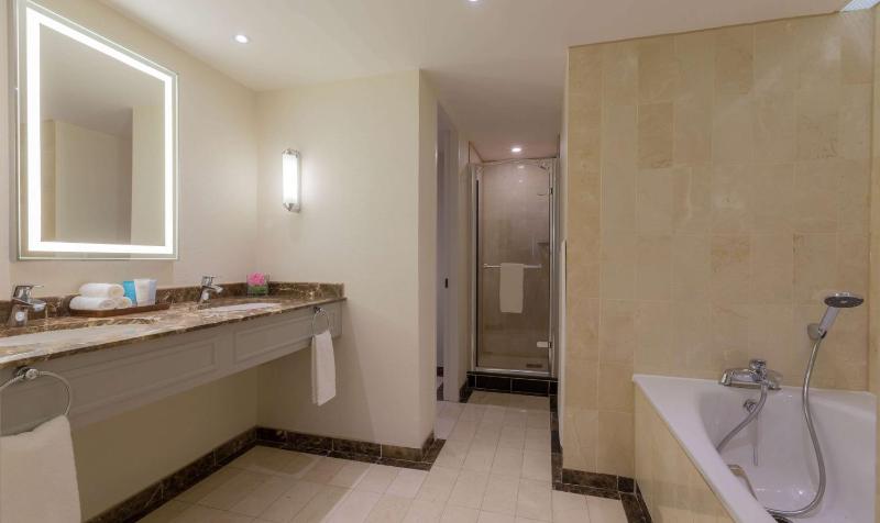 One-Bedroom Suite image 1
