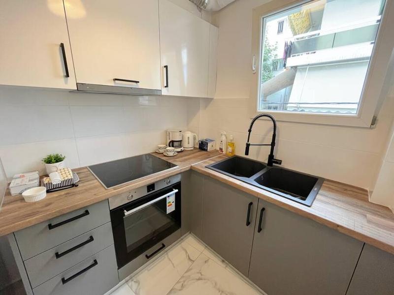 One-Bedroom Apartment image 2