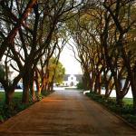 Kievits Kroon Country Estate and Spa