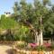 Finca Son Mercadal