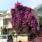 Twin Room Makarska 6644a Foto: Twin Room Makarska 6644a