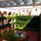 Casa Real Hotel & Suites