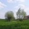 Apartamenty Christine