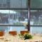 Hotel Aneto
