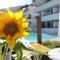 Apartamentos Gelimar