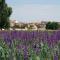 Hotel Spa Galatea