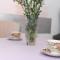 Apartment Gagi