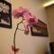 Apartament Kabaty Foto: Apartament Kabaty