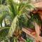 Pueblo Bonito Mazatlán