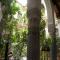 Riad Al Bartal